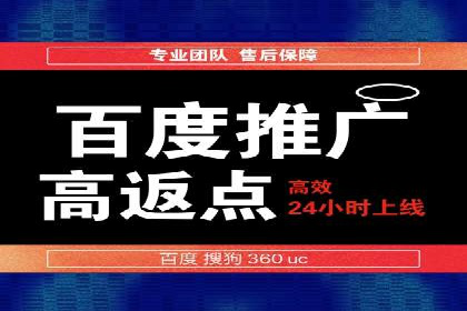 百度平台推广：成功案例解析与效果分析